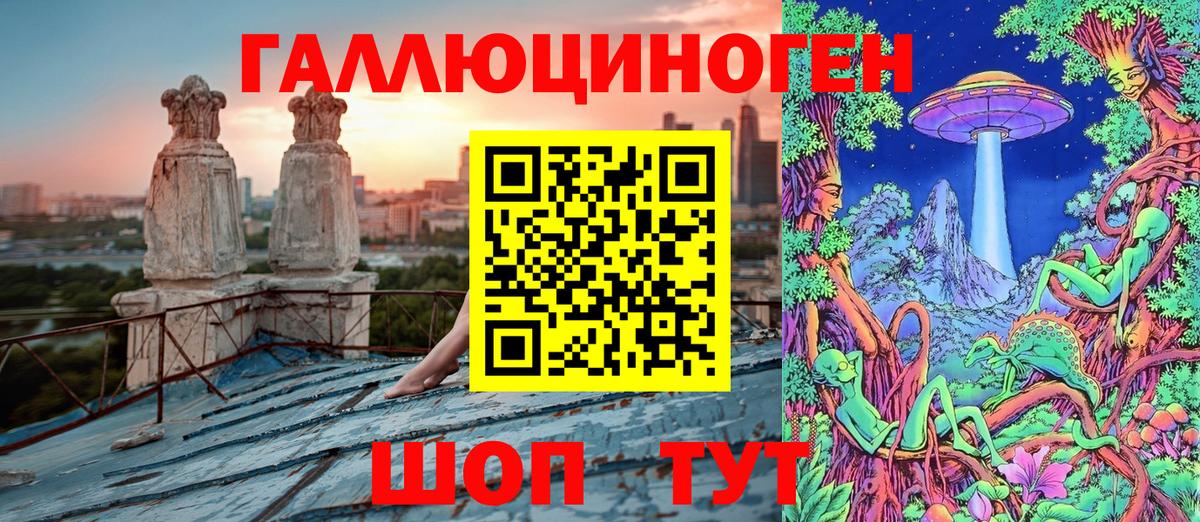 Галлюциногенные грибы Cubensis Александров